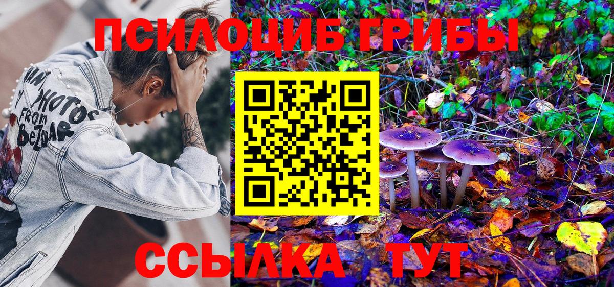 Галлюциногенные грибы Psilocybine cubensis Кинель